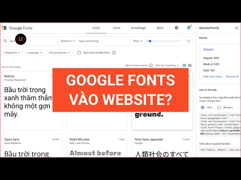 Google Fonts là gì? Cách sử dụng trong website của bạn | Unitop.vn